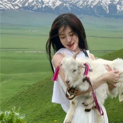 胶囊计划 海报
